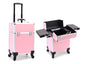 Large-capacity Make-up And Make-up Artist Trolley Storage Toolbox